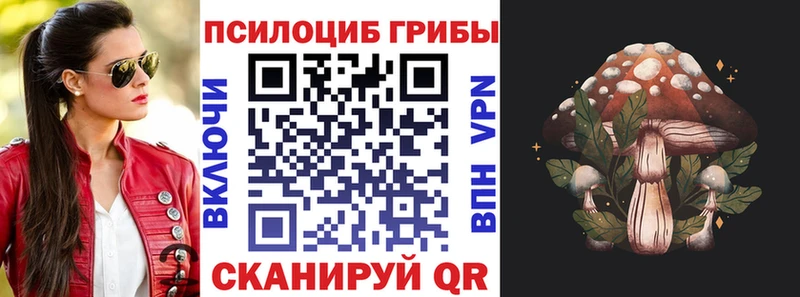 KRAKEN онион  Чебаркуль  Галлюциногенные грибы Psilocybe  цены наркотик 