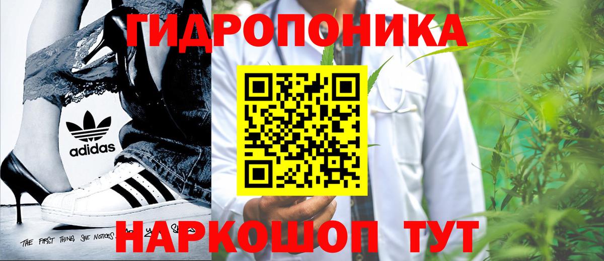 Шишки марихуана конопля Чебаркуль